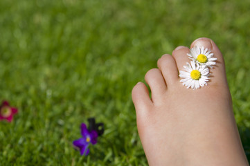 daisy toes in the summer sun