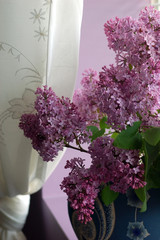 lilac flowers on window sill