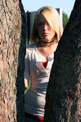 looking through trees