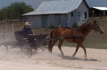 mennonites of belize.