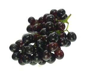 trauben