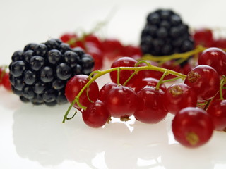brombeeren und johannisbeeren