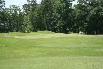 fairway golf