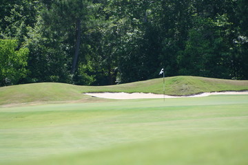 golf greens