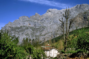 picos de europa