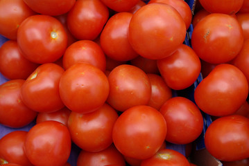 tomaten