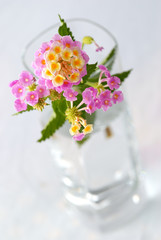 vase et fleurs