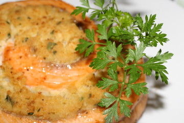 salmon