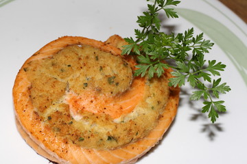 salmon