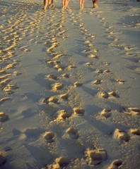 footprints in the sand