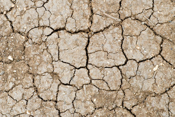 cracked earth