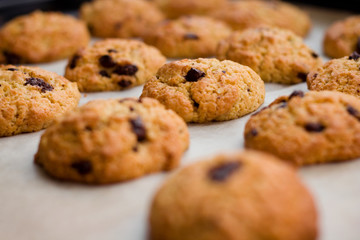chocolate chip cookies