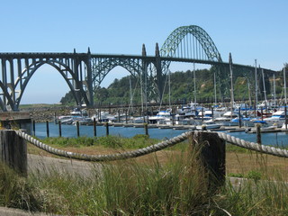 Obraz premium yaquina bay