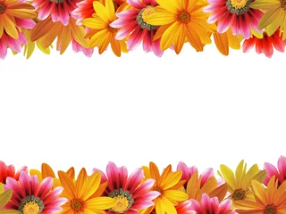 Peel and stick wall murals Flowers flower frame 3