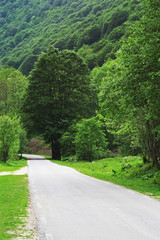 mountain road