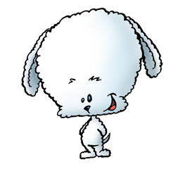 bichon sd