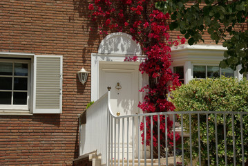 traumhaus * blumenportal