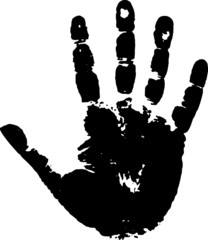 print of a palm