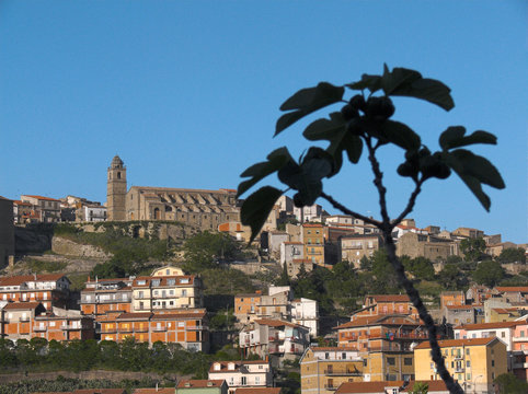 scorcio di cerami