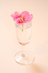 flower in vase 2