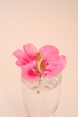 flower in vase 3