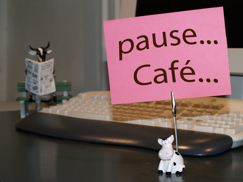 vache pause caf&eacute;
