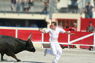 raseteur en action