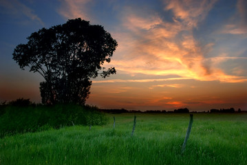 countryside sunset © Jaroslaw Grudzinski