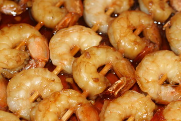 shrimp