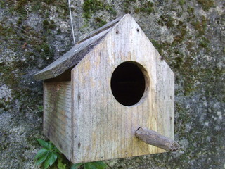 bird house