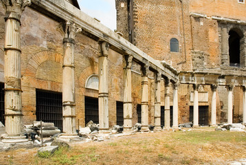 columns in the forum