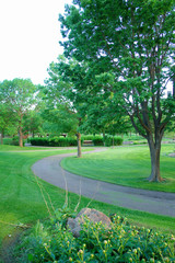 curve in park
