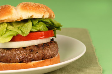 hamburger with onions, lettuce and tomato