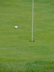 golf ball on green