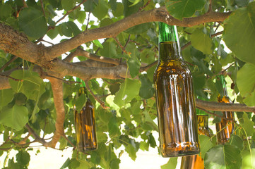 beer tree