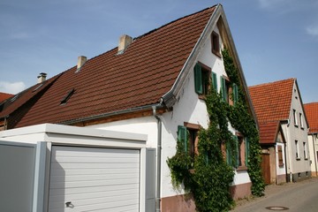 begrünte fassade