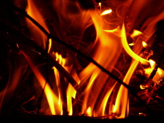 fire and branch