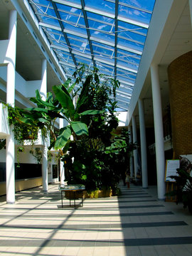 atrium