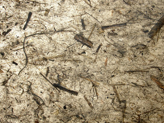 handmade paper_straws