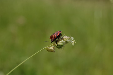 Naklejka premium equilibre