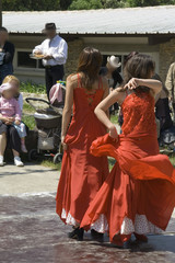 flamenco en plein air