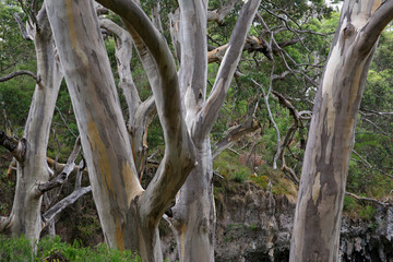 australien_07_0785