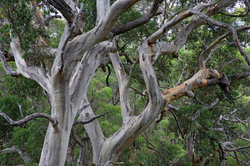 australien_07_0789