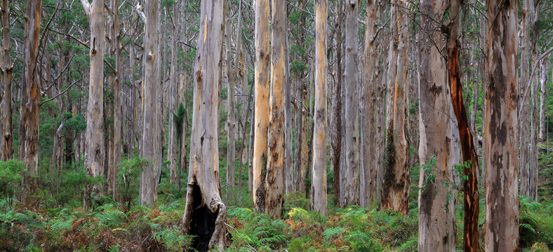 australien_07_0795,01