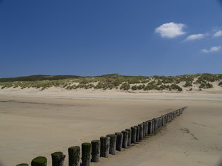 dunes