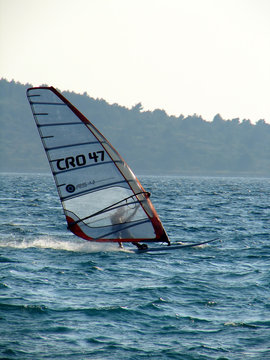 speedy windsurfer