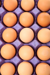 brown eggs