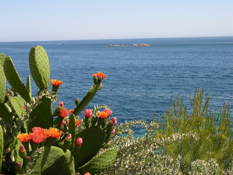 floral5