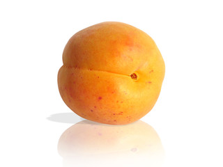 fresh apricot