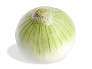 fresh onion